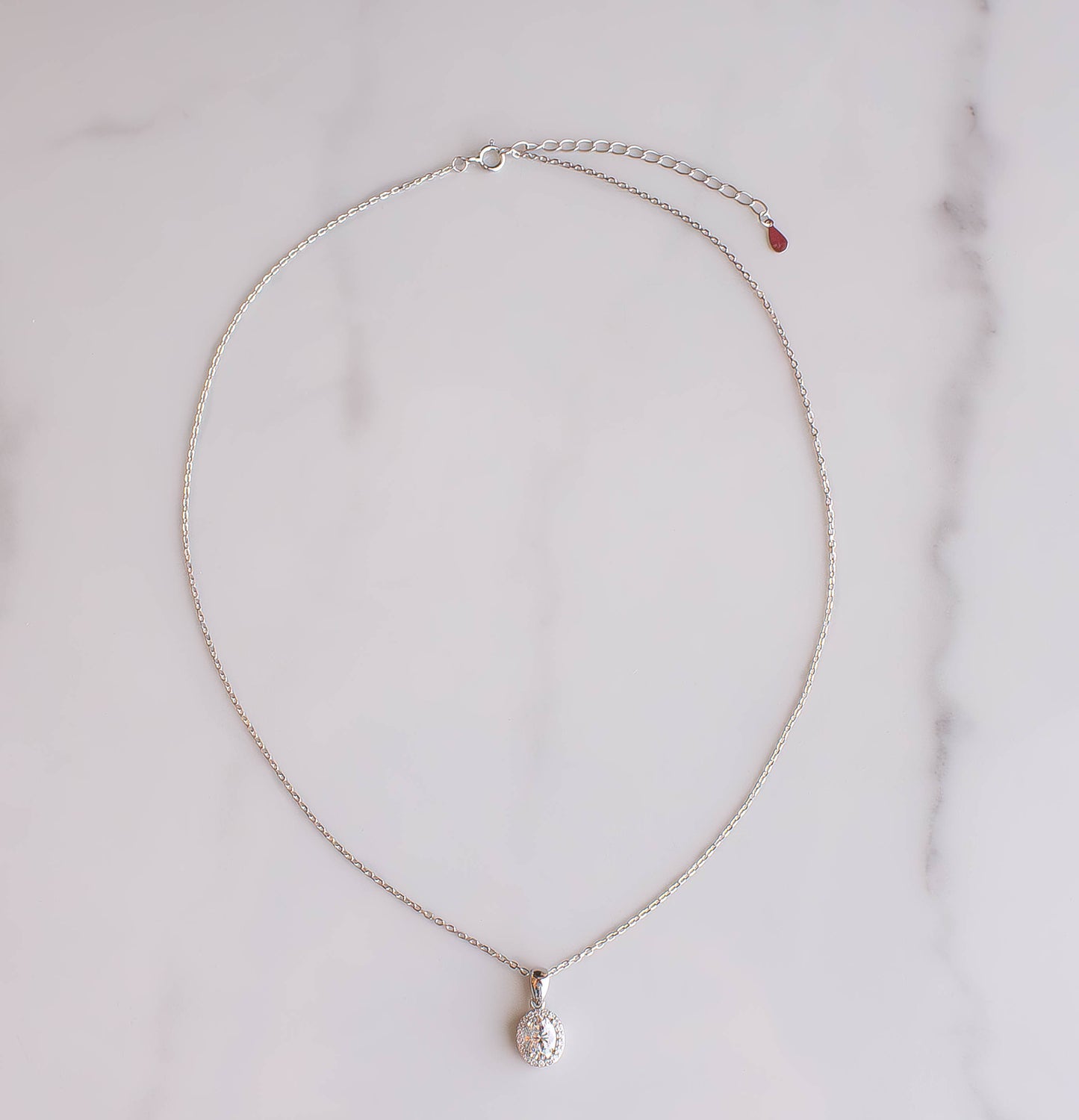 Moissanite Oval Halo Necklace